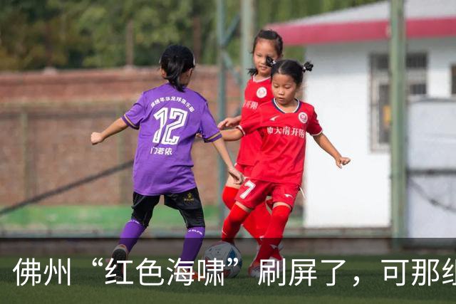 佛州“红色海啸”刷屏了，可那组数据经不起翻到第二页