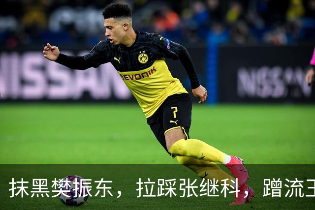 抹黑樊振东，拉踩张继科，蹭流王楚钦，原来他才是国乒“搅屎棍”