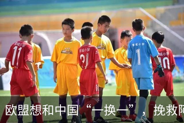 欧盟想和中国“一换一”，挽救阿斯麦企业，方案中国未必会同意
