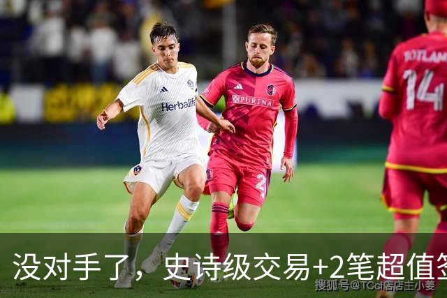 没对手了，史诗级交易+2笔超值签约，森林狼成了NBA最被低估的球队